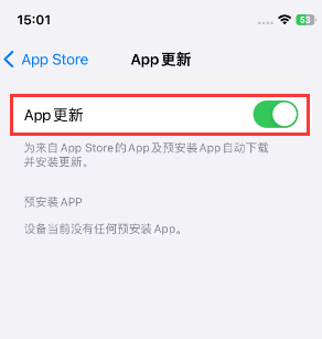 沙田镇苹果15维修中心如何让iPhone15APP自动更新